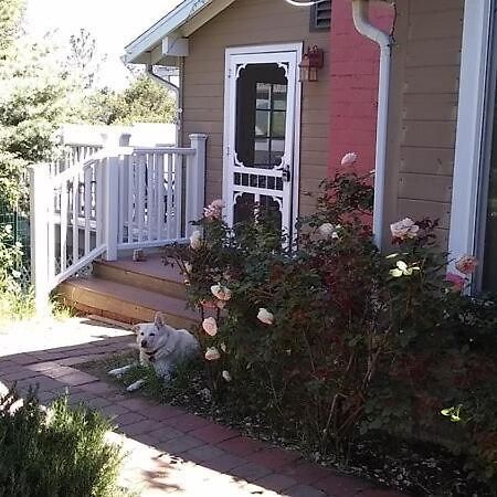 ג'וליאן Blue Bird Cottage - Pet Friendly מראה חיצוני תמונה