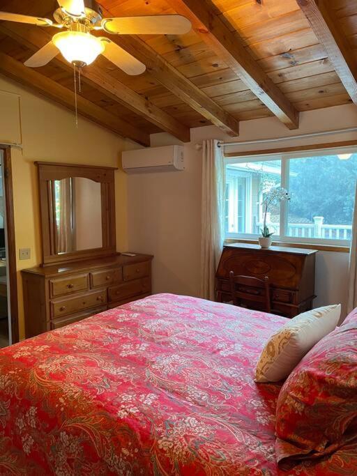 ג'וליאן Blue Bird Cottage - Pet Friendly מראה חיצוני תמונה