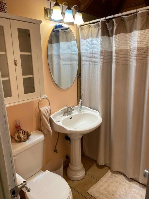 ג'וליאן Blue Bird Cottage - Pet Friendly מראה חיצוני תמונה