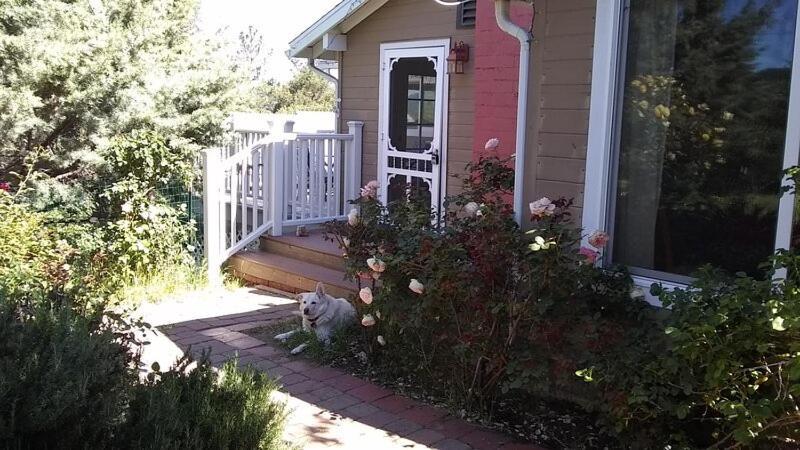 ג'וליאן Blue Bird Cottage - Pet Friendly מראה חיצוני תמונה